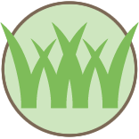 Single Visit Yard Care Pros