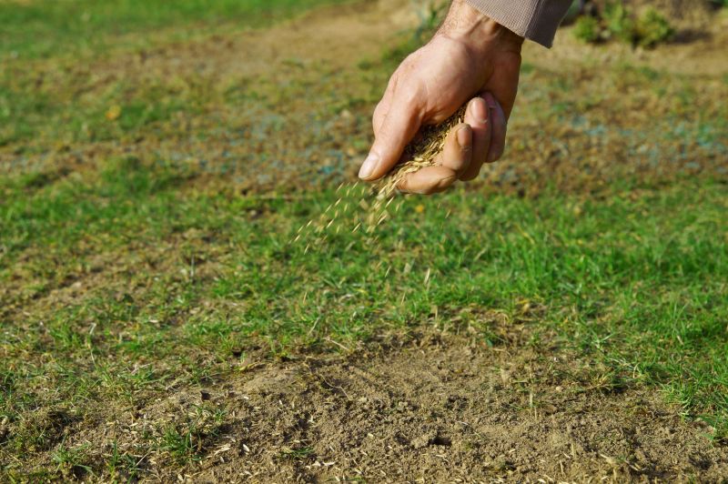 Grass Seeding Service in Honolulu, HI