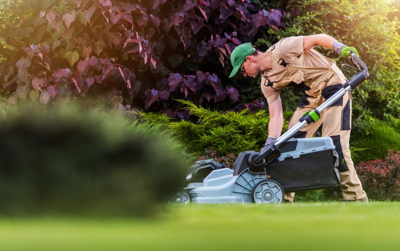Single Visit Yard Care
