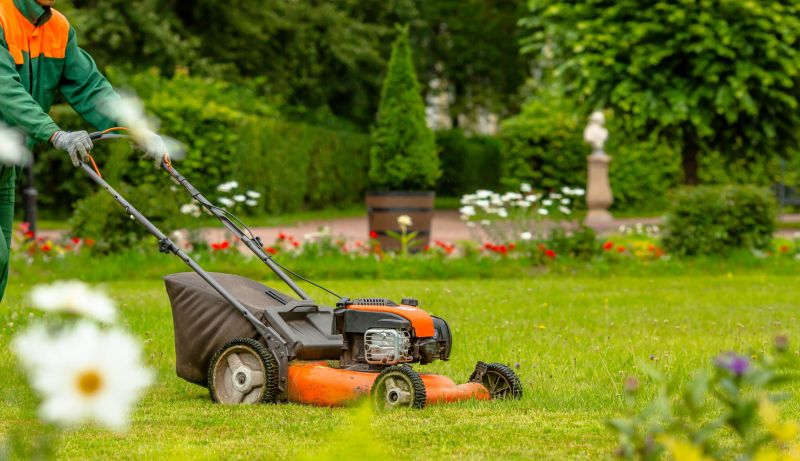 Single Visit Yard Care