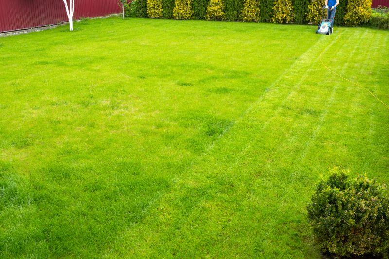 Single Visit Yard Care