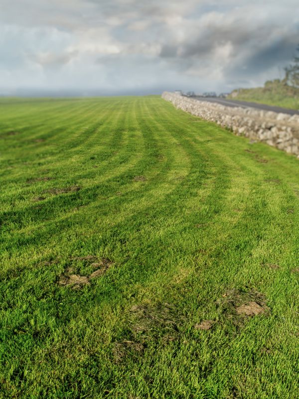 Acreage Mowing Service in Prince Georges County, MD
