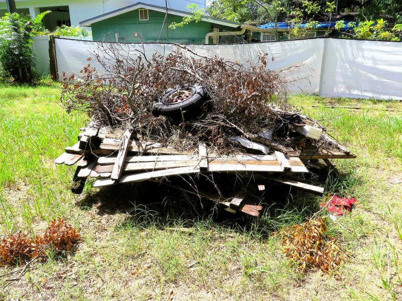 Brush Cleanup Service in Honolulu, HI
