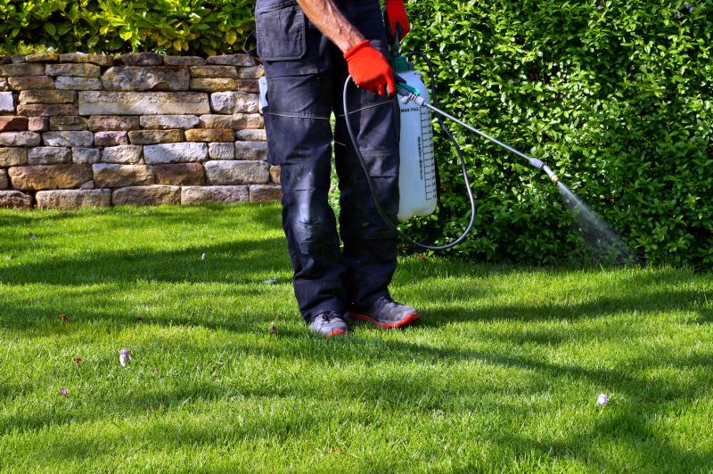 Crabgrass Removal in Aiken, SC