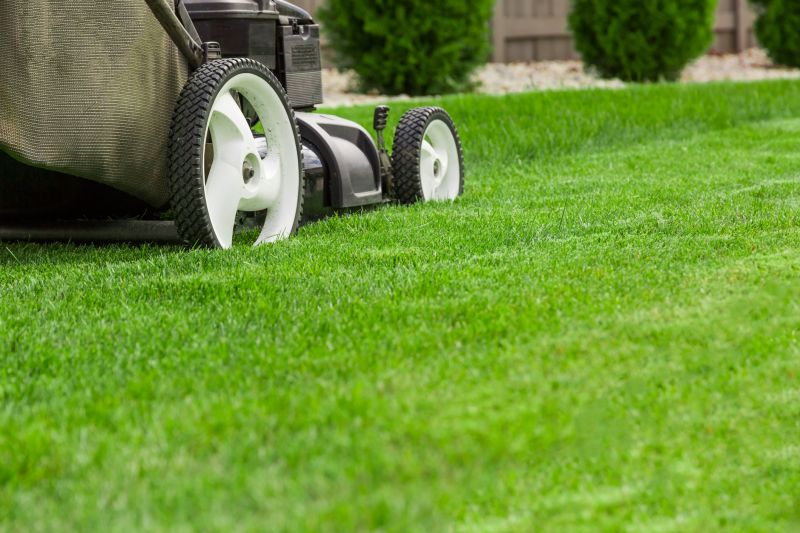 Fall Lawn Care in Bowie, MD