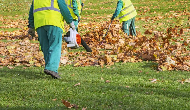 Leaf Blower in Action