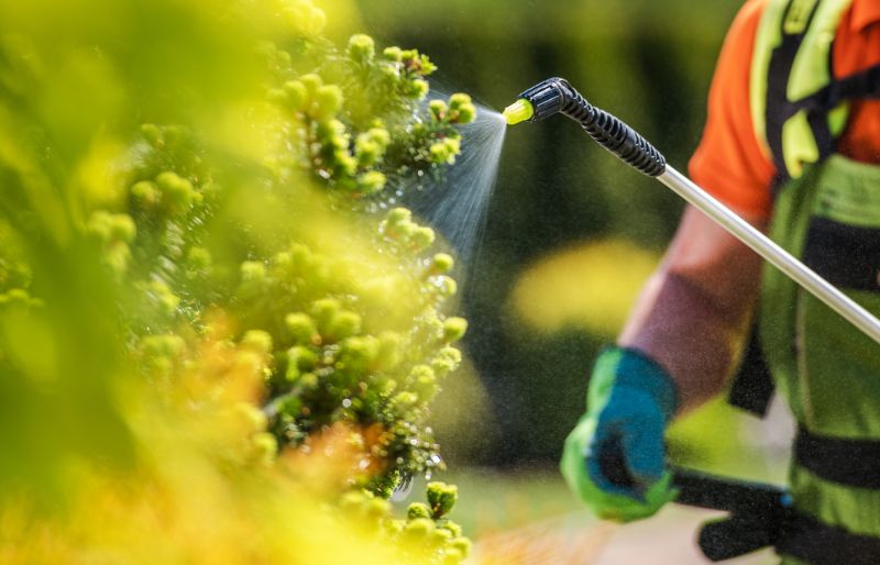 Lawn Herbicide Treatment in Honolulu, HI