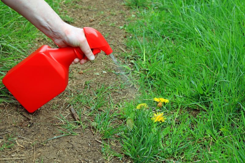 Lawn Herbicide Treatment in Ventura County, CA