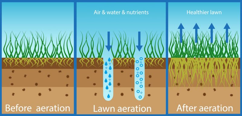 Aeration Benefits