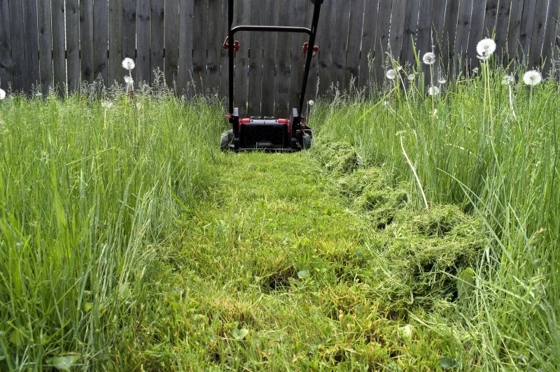 Vacant Lot Mowing in Waldorf, MD