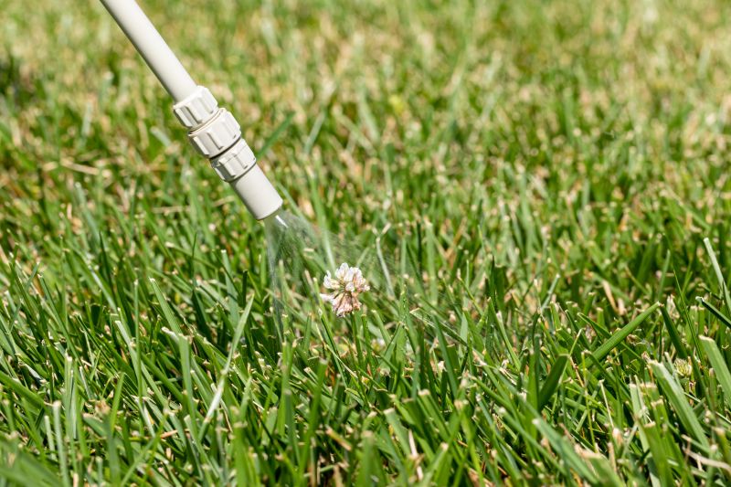 Weed Spraying in Honolulu, HI