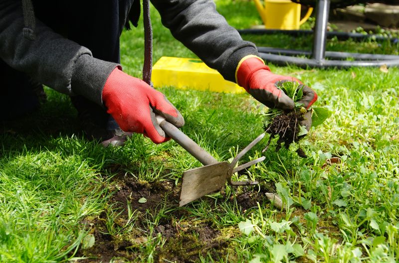 Weeding Service in Aiken, SC
