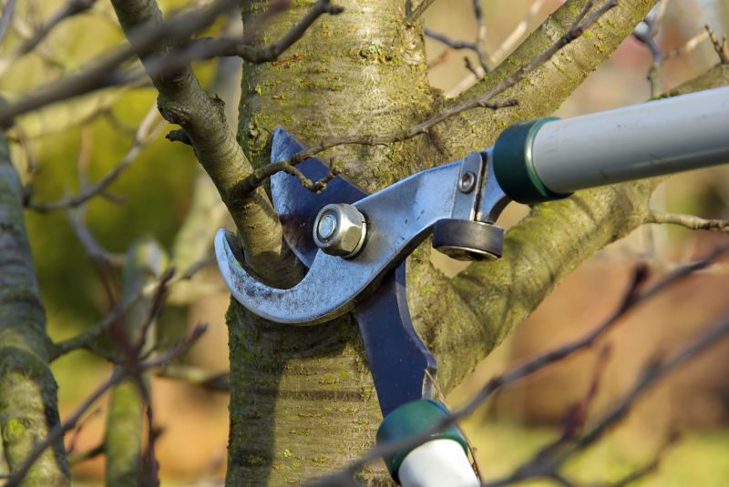 Seasonal Pruning