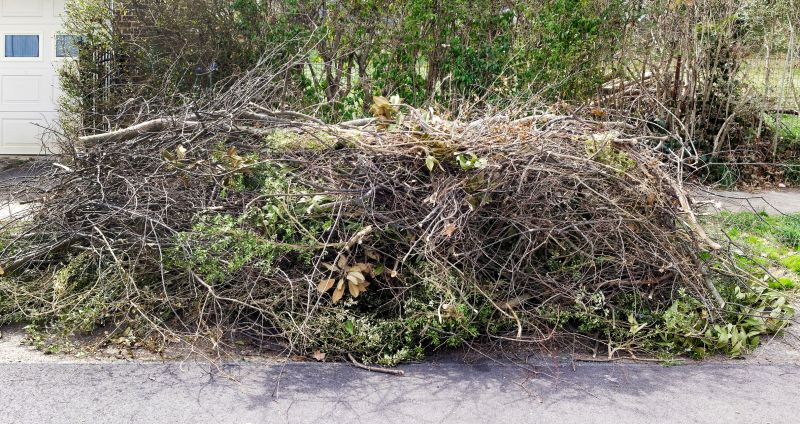 Yard Debris Removal in Honolulu, HI